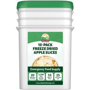 Freeze Dried Apple Slices - 10 Pack - Valley Food Storage